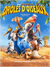 DROLES D'OISEAUX AFFICHE MINI
