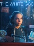 the white god affiche
