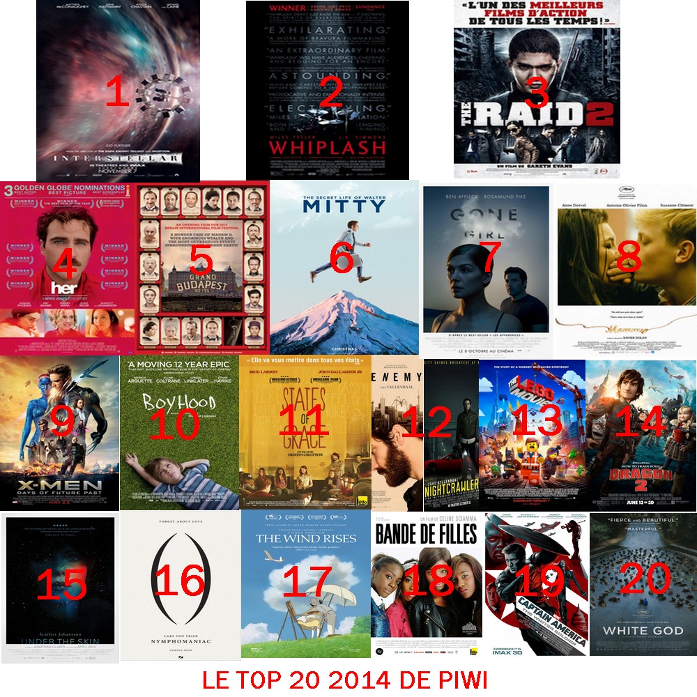 LE TOP 20 2014 DE PIWI