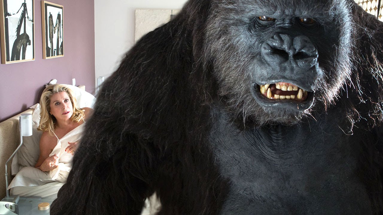 le tout nouveau testament top joel