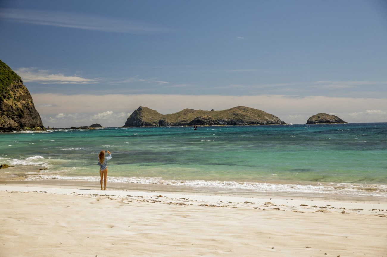 instinct de survie 1 cliff and co