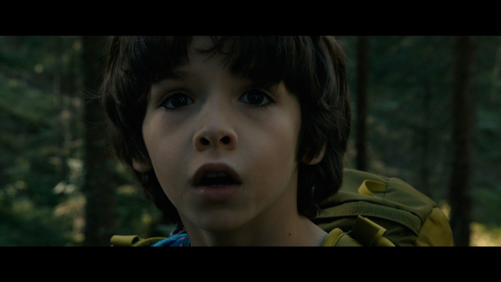 dans-la-foret-2-cliff-and-co