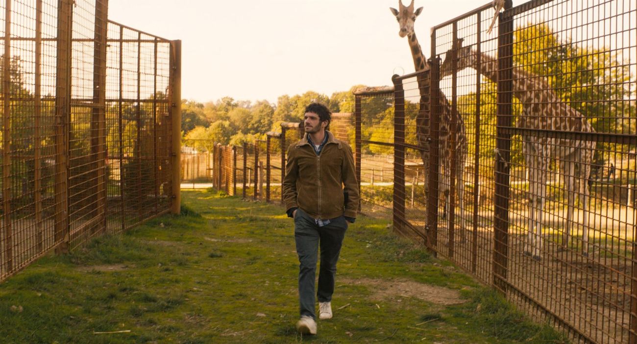 GASPARD VA AU MARIAGE 1 CLIFF AND CO