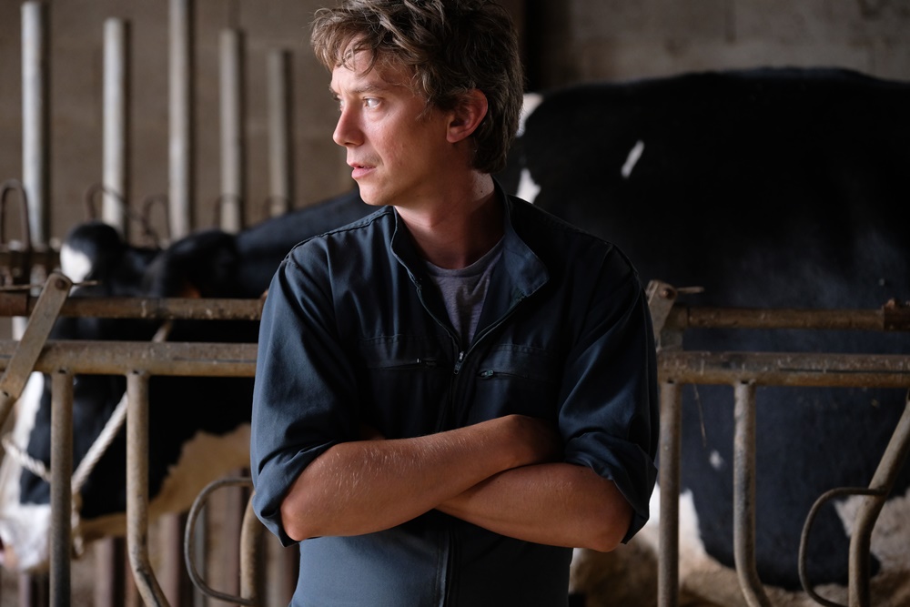 petit paysan 1 cliff and co