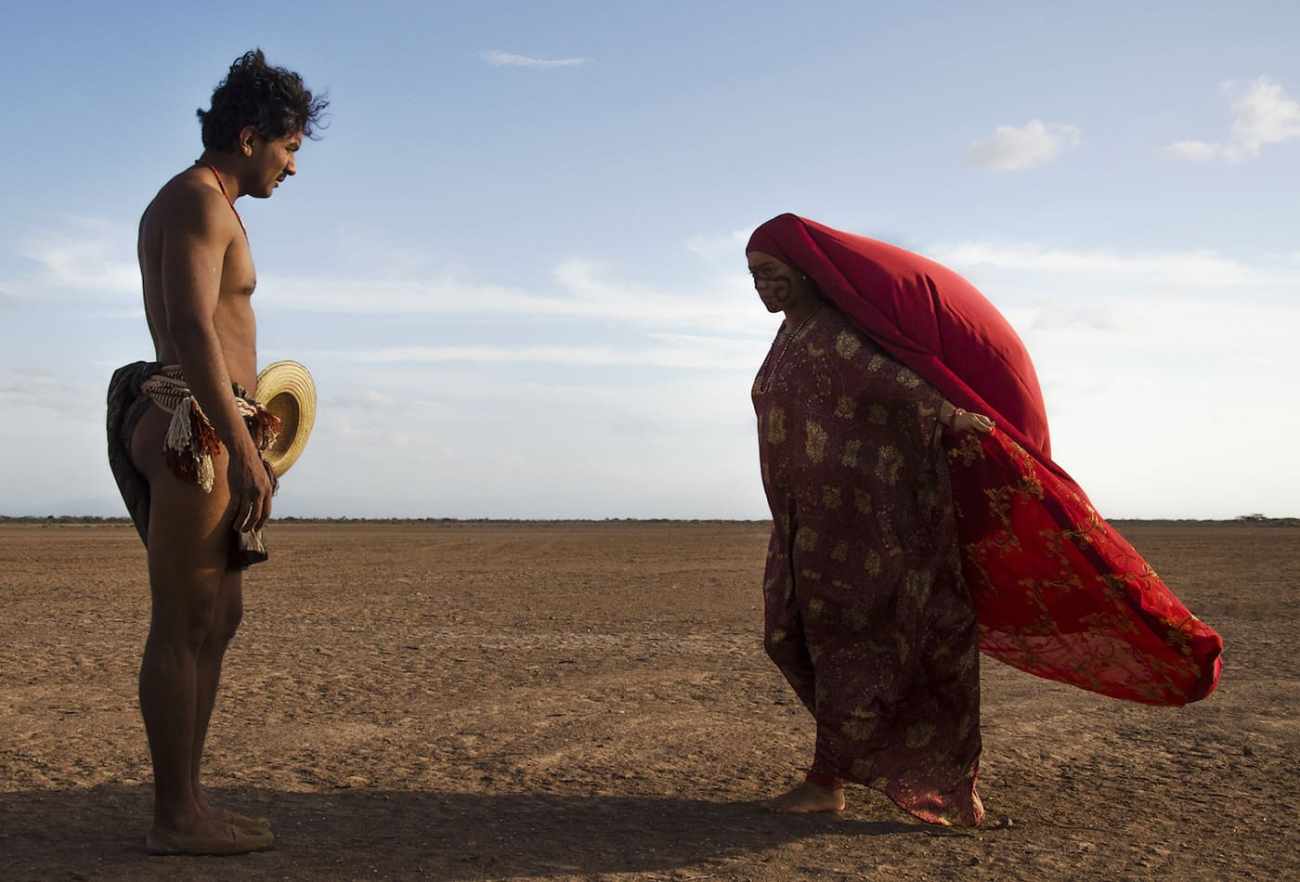 oiseaux de passage image cliff and co