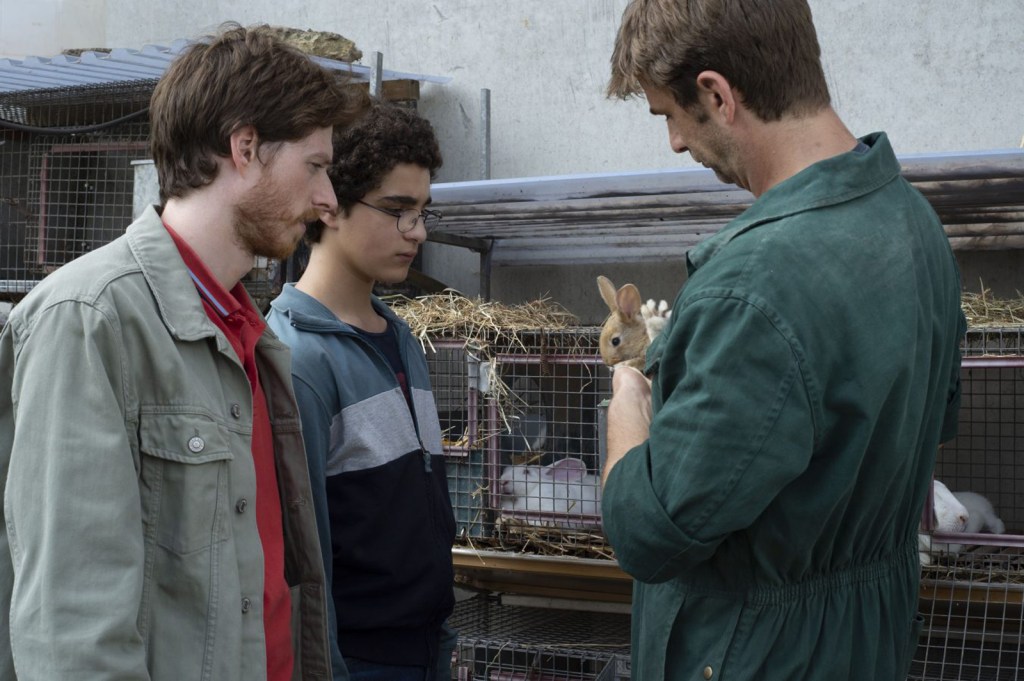 le jeune ahmed 3 cliff and co