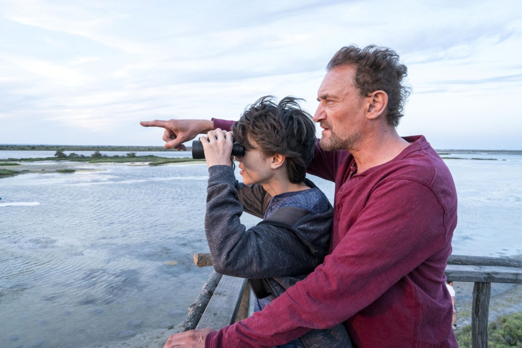 donne moi des ailes 1 cliff and co